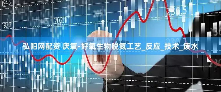 弘阳网配资 厌氧-好氧生物脱氮工艺_反应_技术_废水