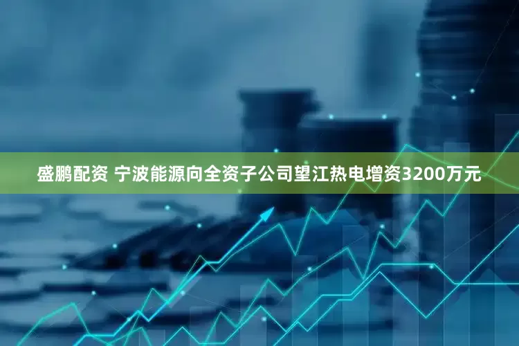 盛鹏配资 宁波能源向全资子公司望江热电增资3200万元